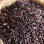 Black Kavuni Rice 500g கருப்பு கவுனி அரிசி