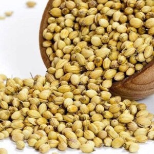 Coriander கொத்தமல்லி