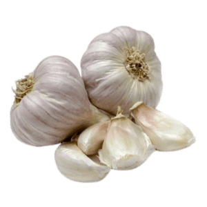 Garlic பூண்டு