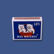 Matchbox Cats