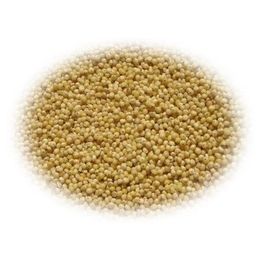 Samai Rice சாமை அரிசி 500g