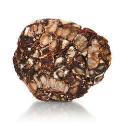 Tamarind புளி