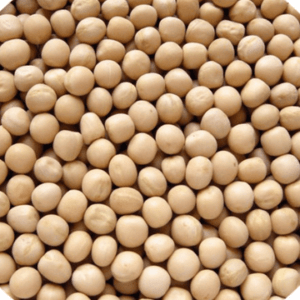 White Peas வெள்ளை பட்டாணி